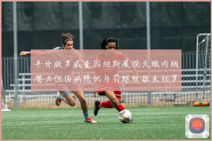 平价版罗威奎因坦斯展现天赋内线潜力但伤病隐忧与罚球致敬米切罗